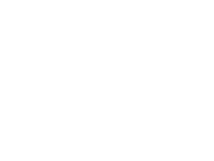 Nelectra